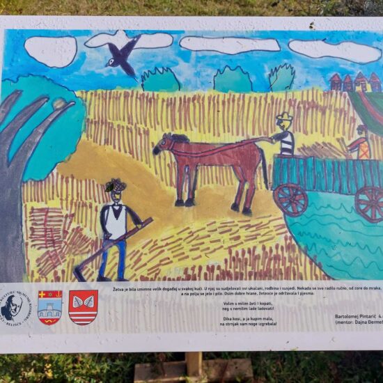 viber_slika_2023-10-29_16-32-52-246