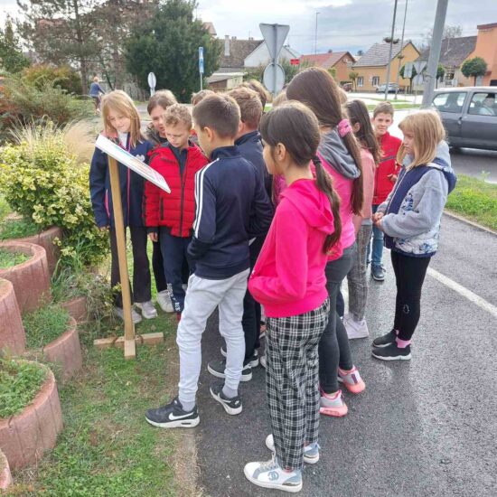 viber_slika_2023-10-29_16-33-52-311